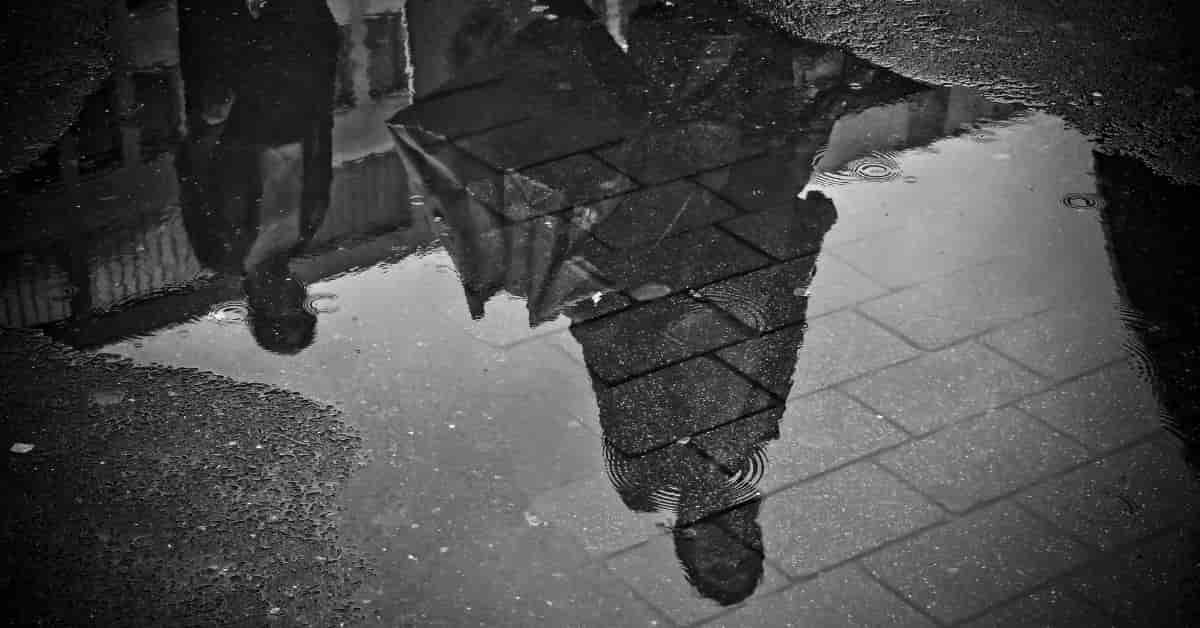 Read more about the article My Rainy Days