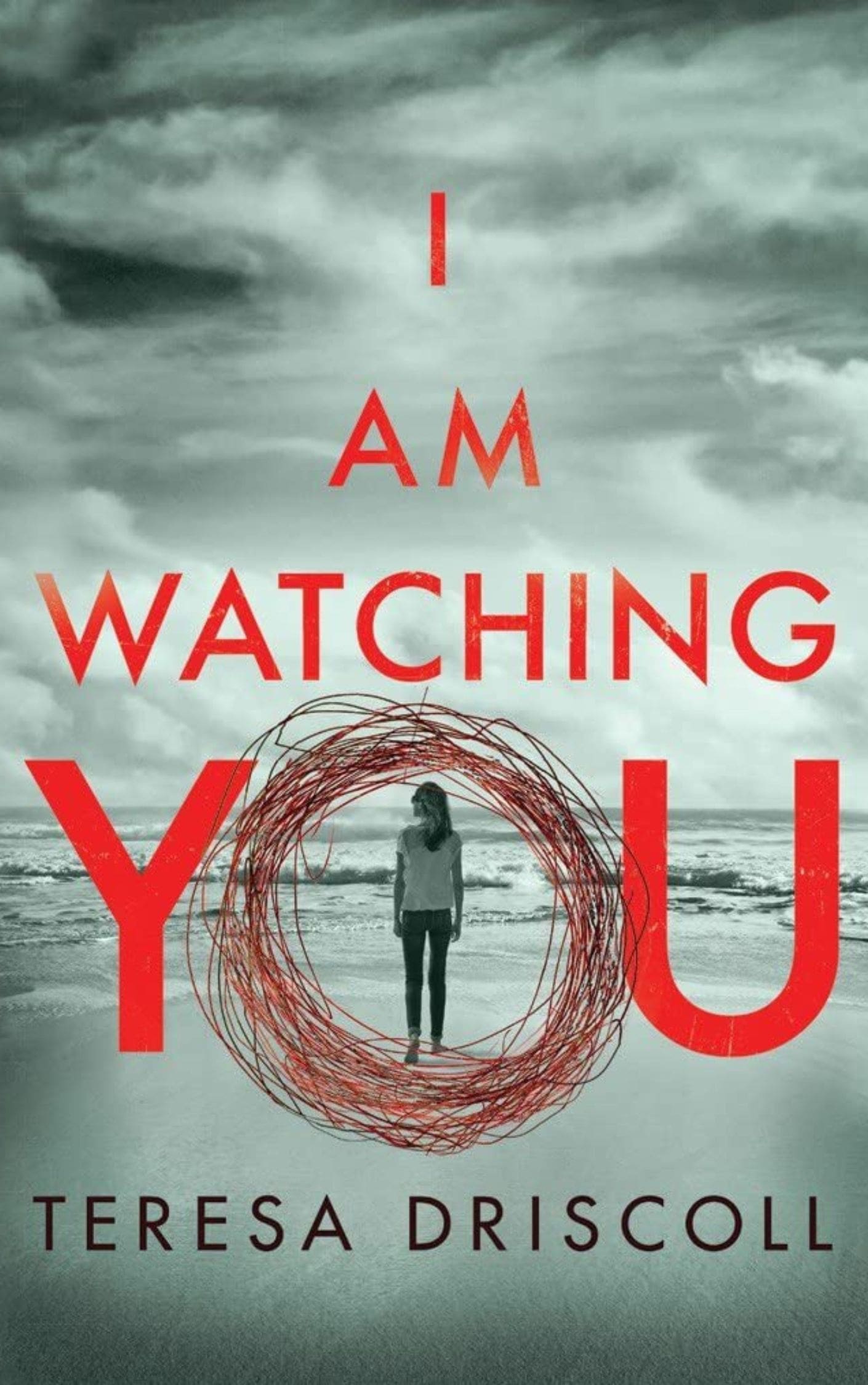 I am Watching You Crime Thriller Mystery Books