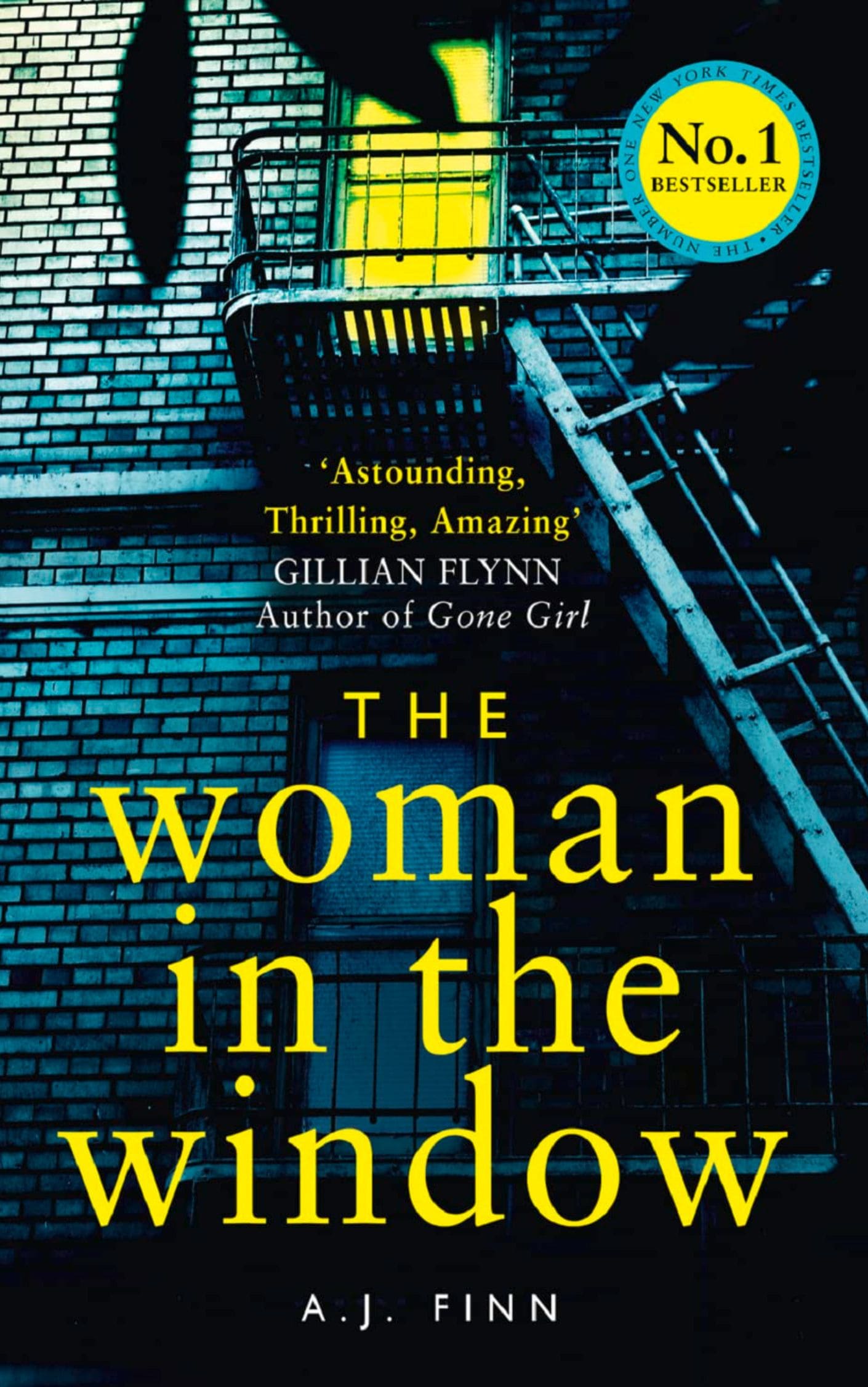 The Women in The Window Crime Thriller Mystery Books
