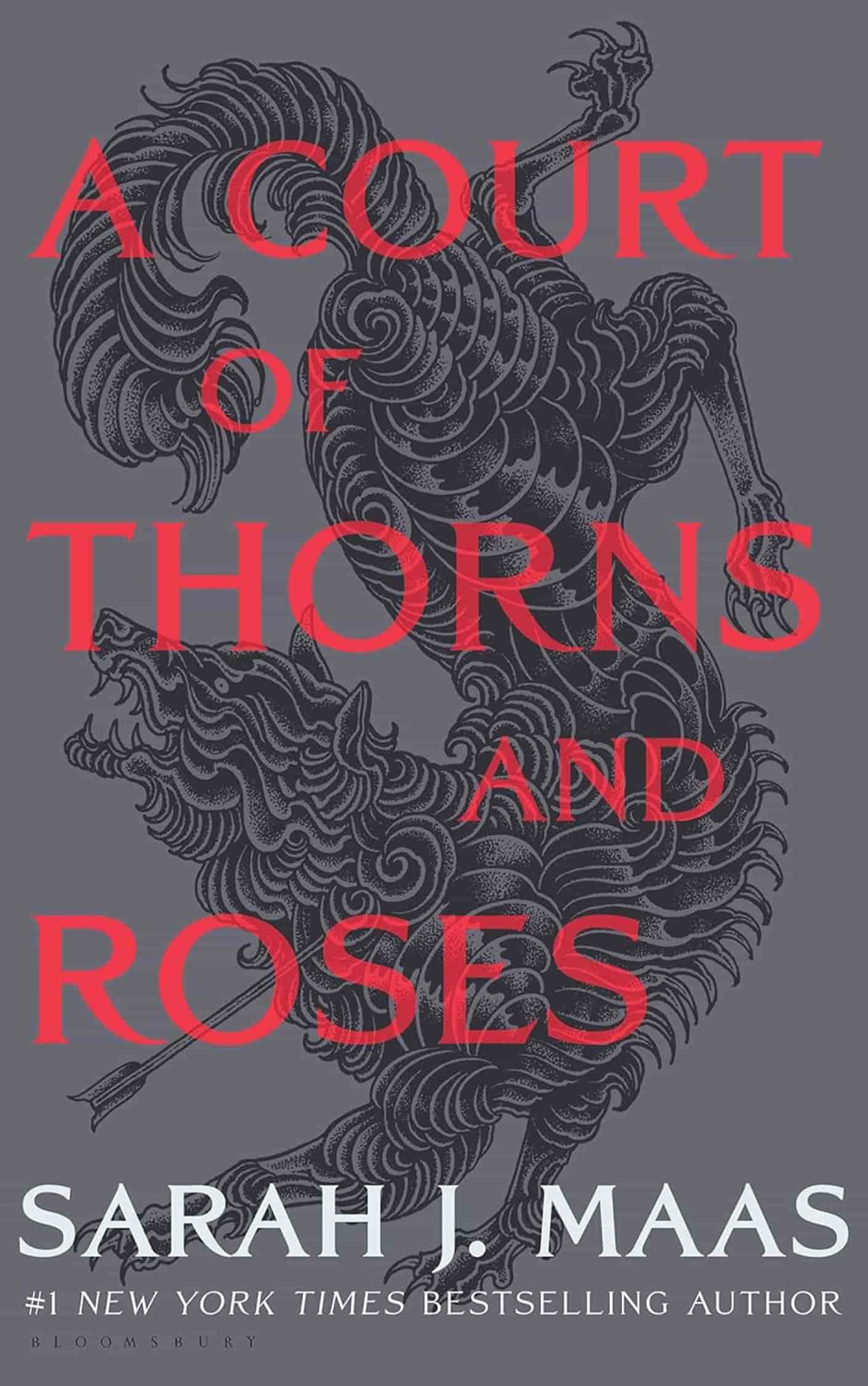 A Court of Thorns and Roses Teen Young Adult Books