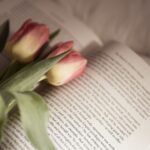 Trending Romance Books That Will Make You Feel Everything