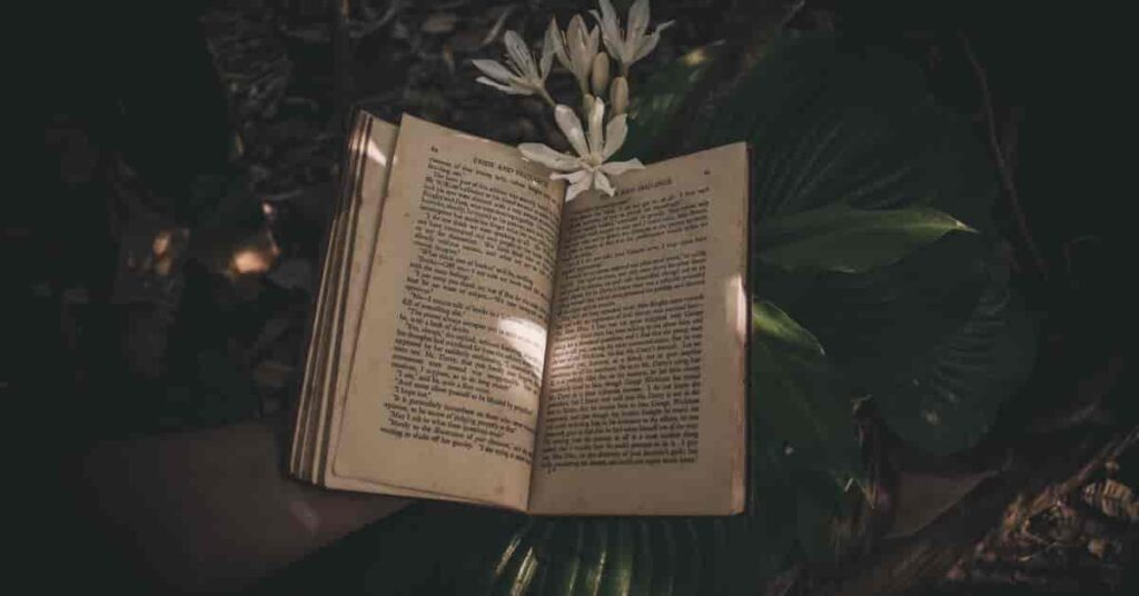 Dark Academia Books