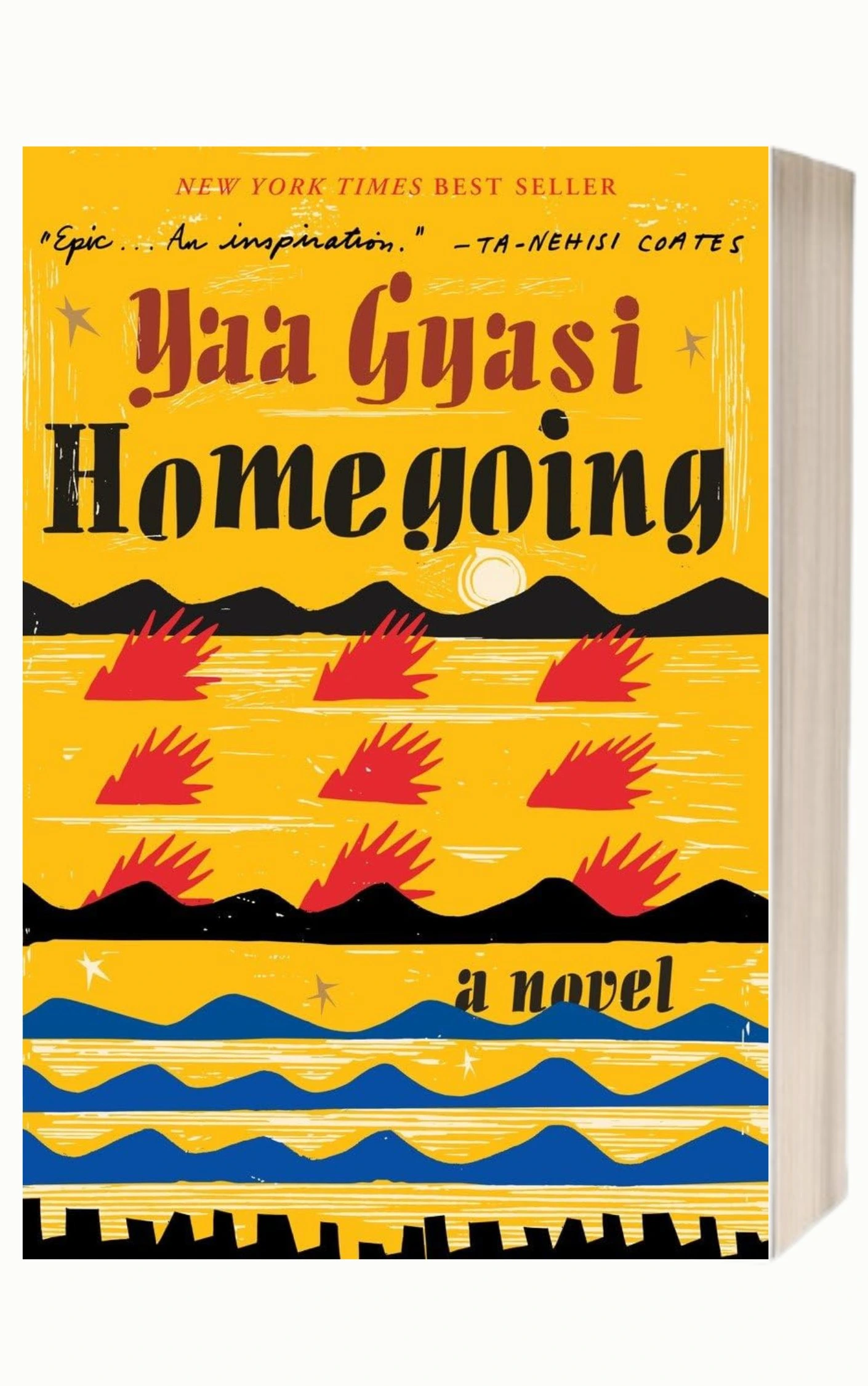 Homegoing by Yaa Gyasi Multi-Generational Sagas