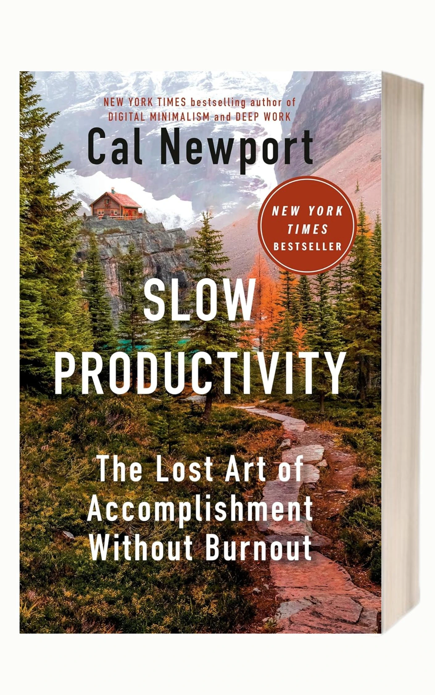 Slow Productivity by Cal Newport Top Productivity Books